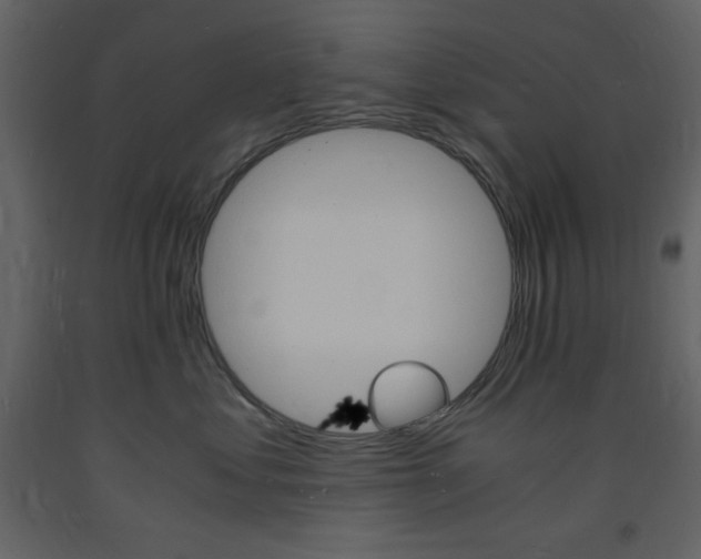 X0000094060621200710190934