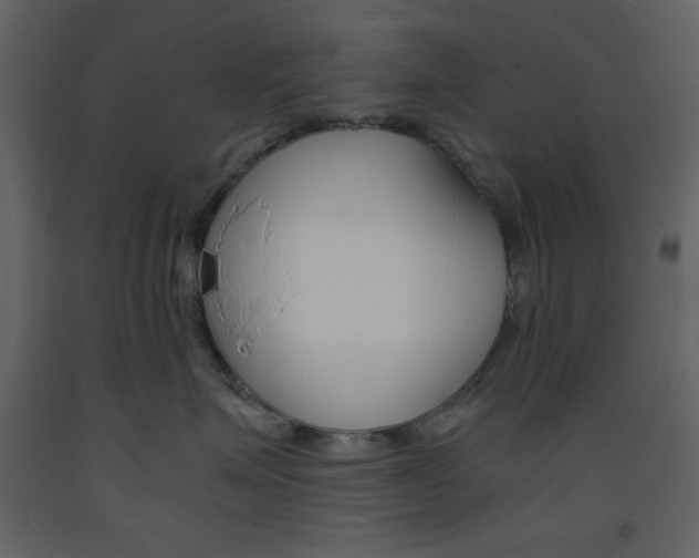 X0000094060623200710190934