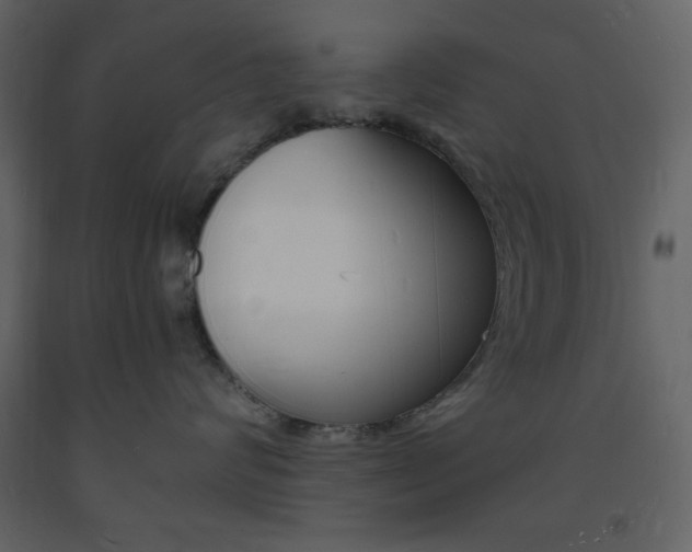 X0000094060624200710190934