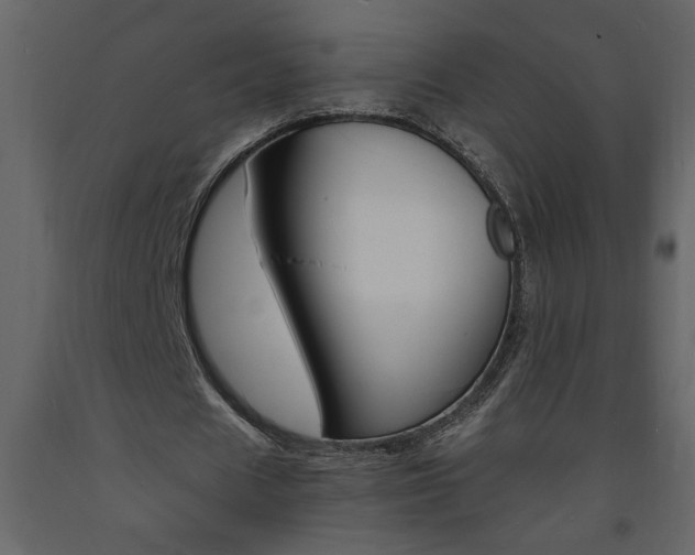 X0000094060625200710190934