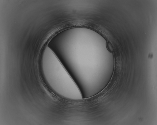 X0000094060626200710190934