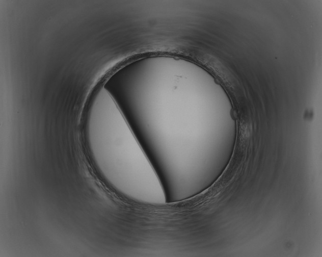 X0000094060628200710190934