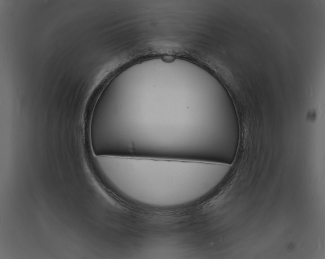 X0000094060630200710190934