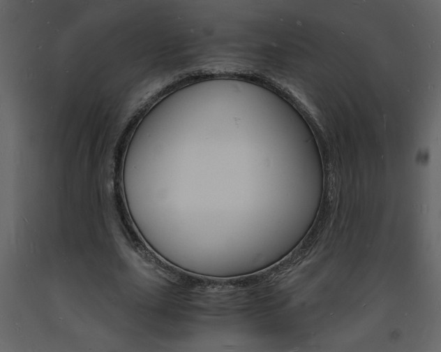 X0000094060631200710190934
