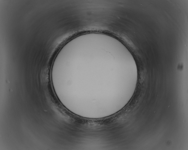 X0000094060632200710190934