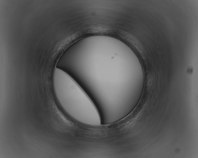 X0000094060633200710190934