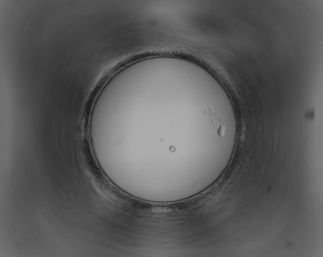 X0000094060636200710190934