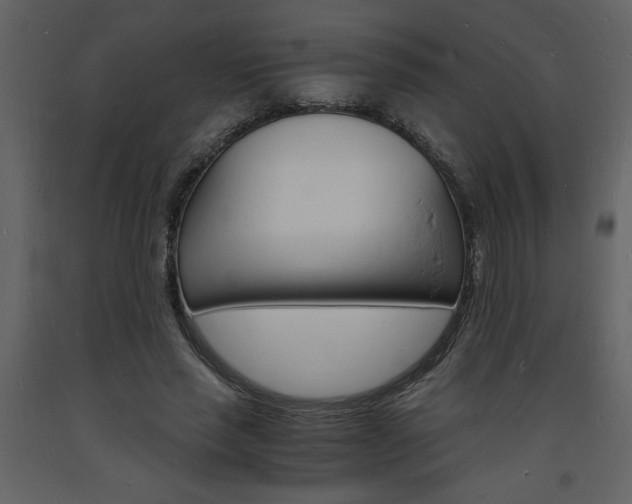 X0000094060637200710190934