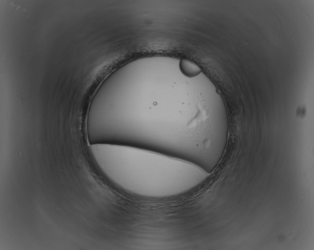 X0000094060640200710190934