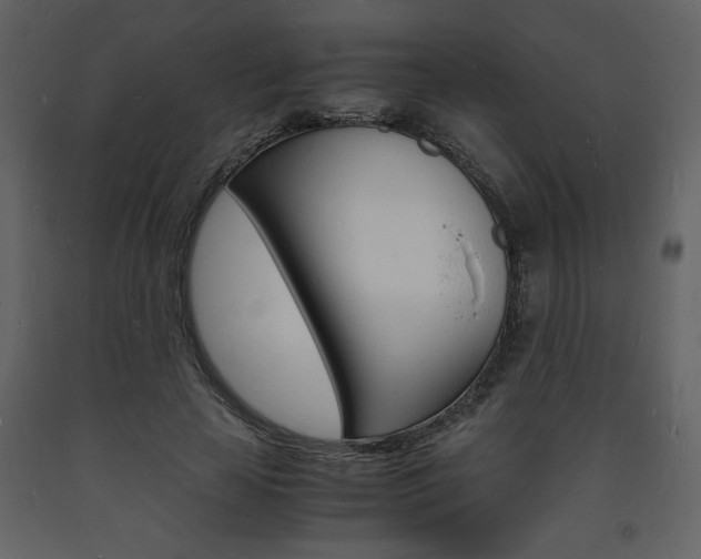 X0000094060641200710190934