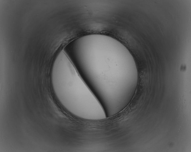 X0000094060642200710190934