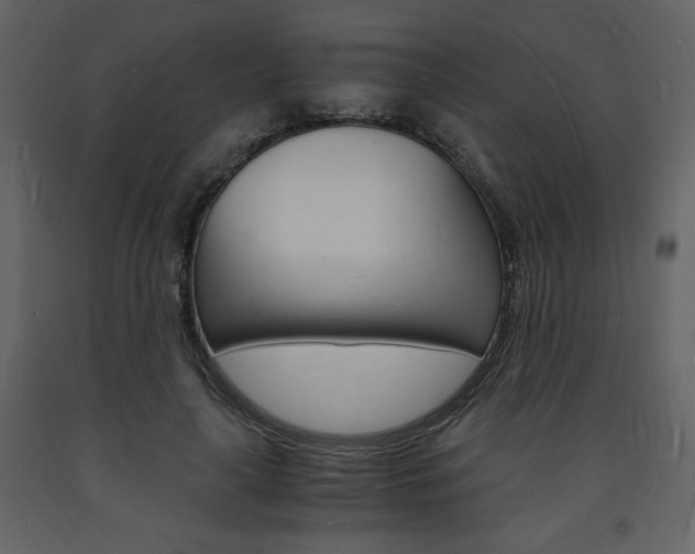 X0000094060643200710190934