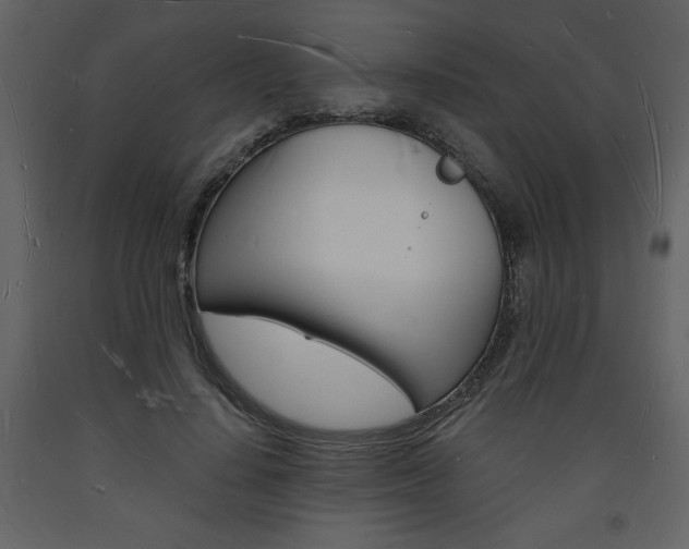 X0000094060644200710190934