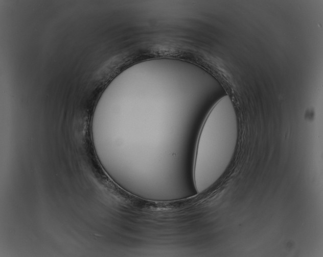 X0000094060645200710190934