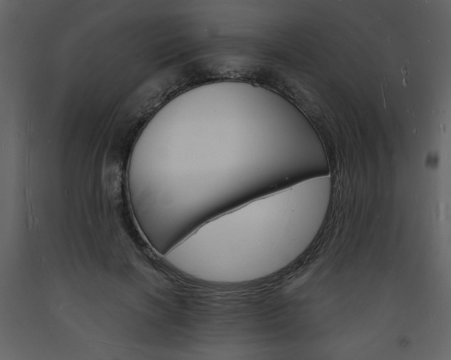 X0000094060646200710190934