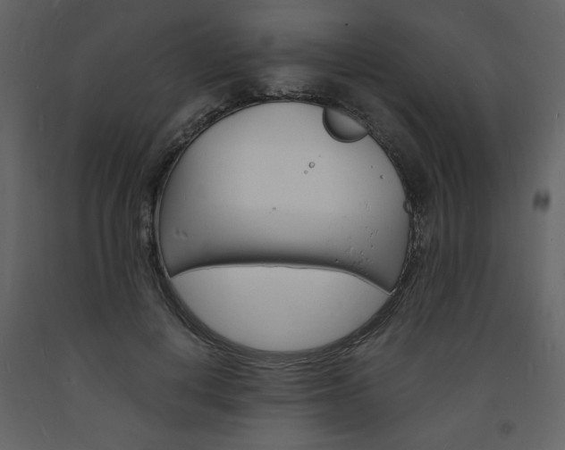 X0000094060648200710190934