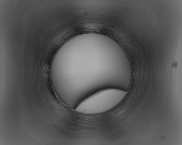 X0000094060649200710190934