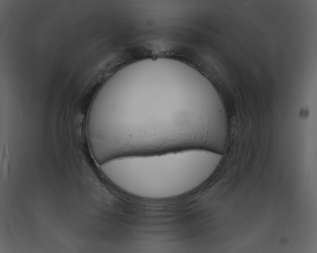 X0000094060650200710190934