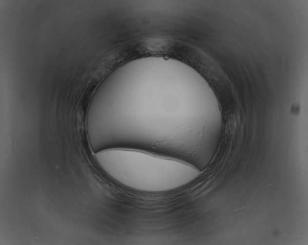 X0000094060651200710190934
