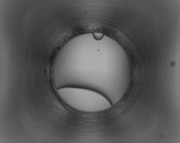 X0000094060654200710190934