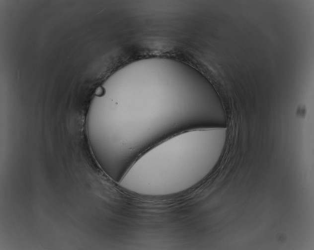 X0000094060657200710190934