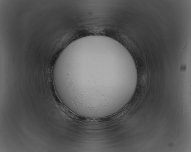 X0000094060658200710190934