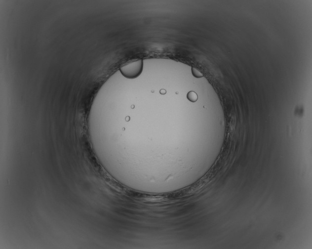X0000094060659200710190934