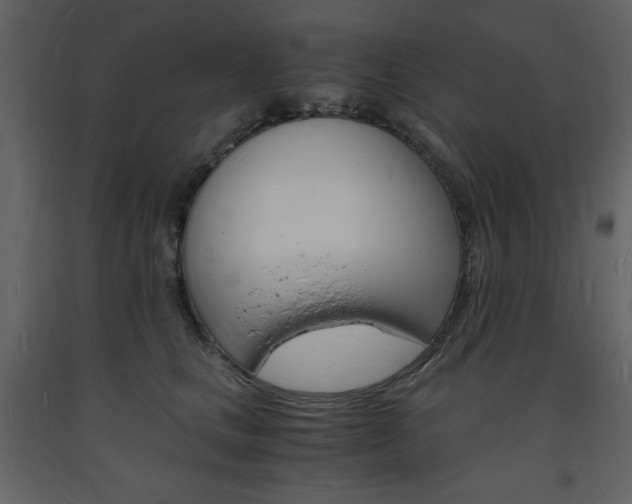 X0000094060661200710190934