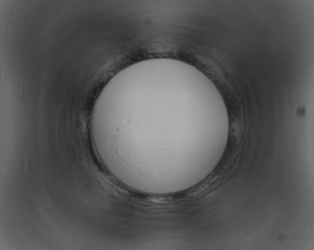 X0000094060662200710190934