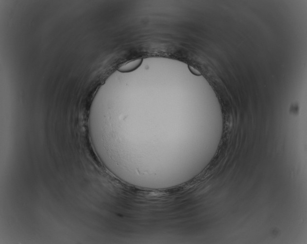 X0000094060663200710190934