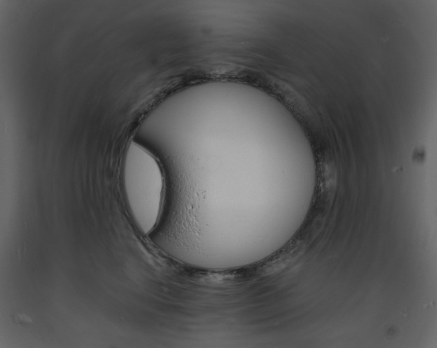 X0000094060664200710190934