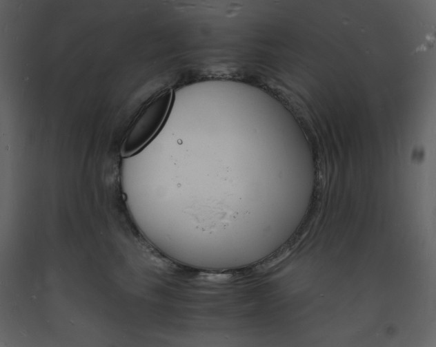 X0000094060665200710190934