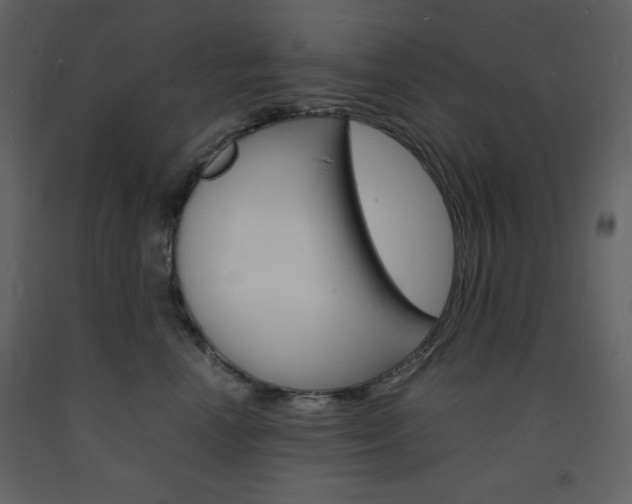 X0000094060666200710190934