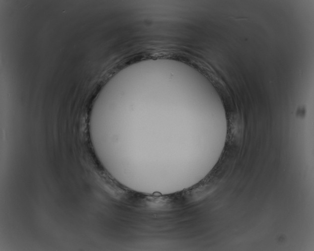 X0000094060667200710190934