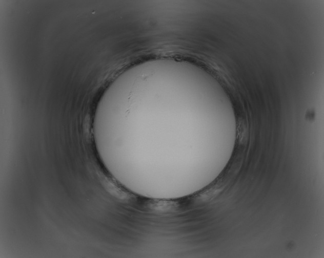X0000094060670200710190934