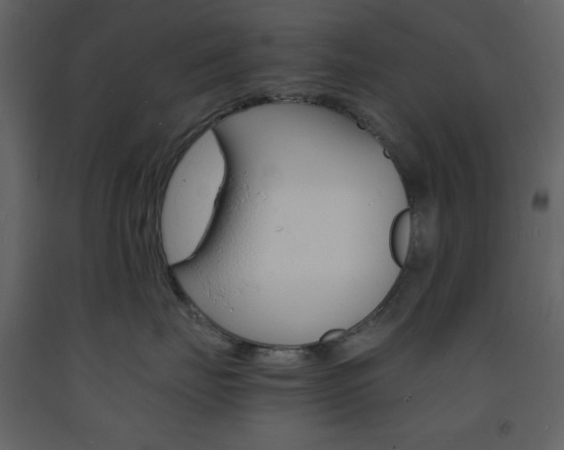 X0000094060671200710190934