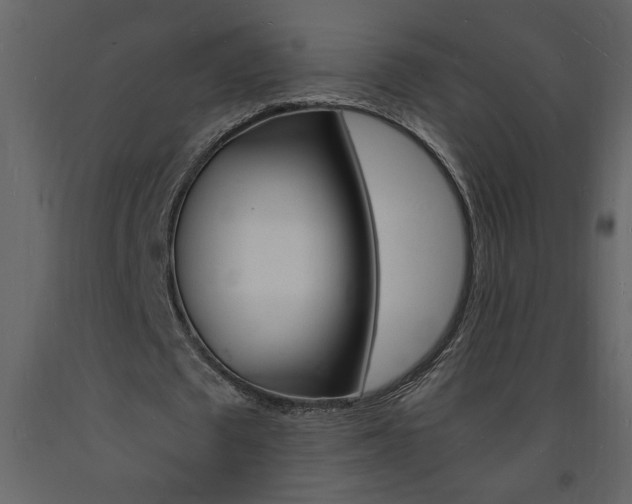 X0000094060673200710190934
