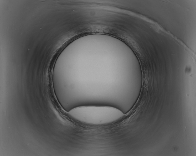 X0000094060674200710190934