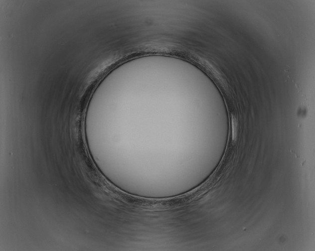 X0000094060675200710190934