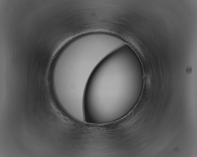 X0000094060676200710190933