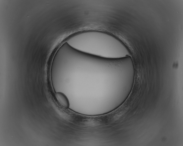 X0000094060678200710190933