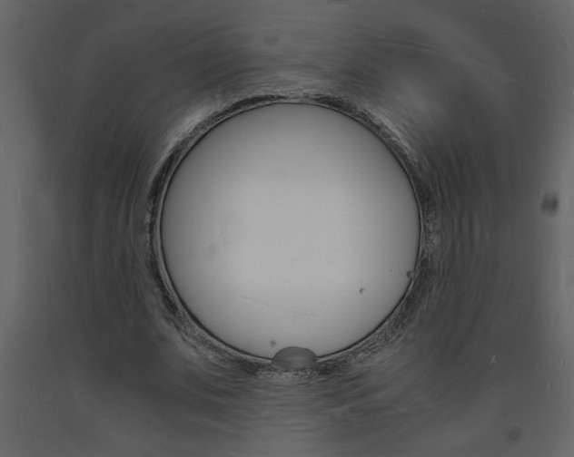 X0000094060679200710190933