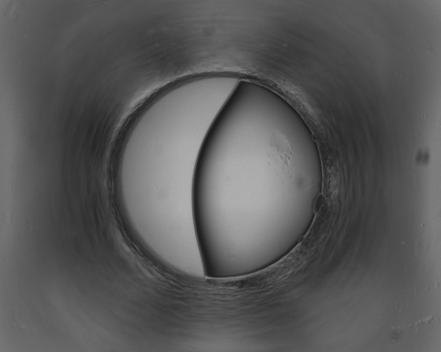 X0000094060680200710190933