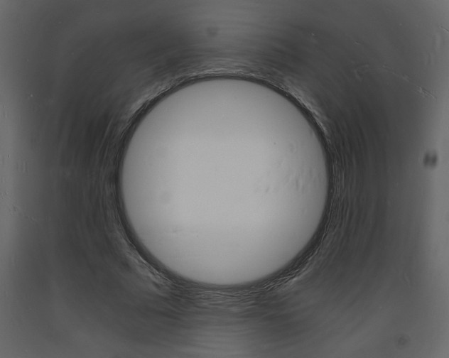 X0000094060681200710190933