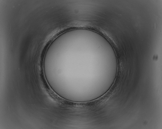 X0000094060682200710190933