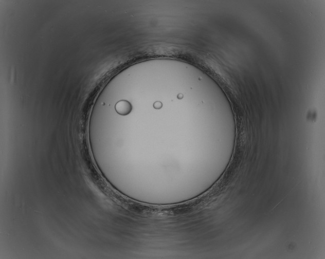 X0000094060683200710190933