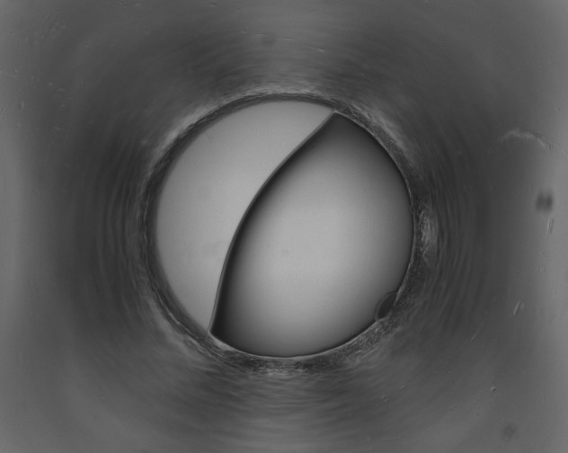 X0000094060684200710190933