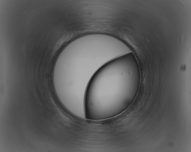 X0000094060685200710190933