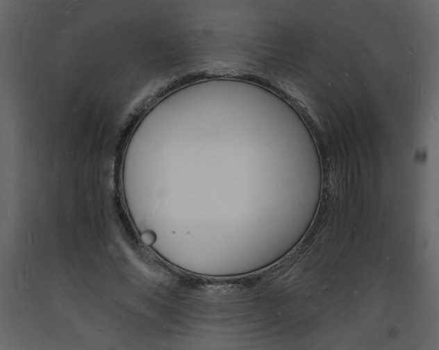 X0000094060686200710190933