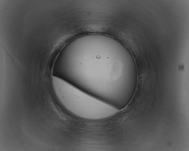 X0000094060688200710190933